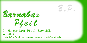 barnabas pfeil business card